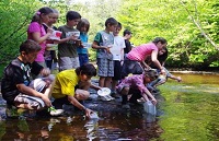 aquaculture